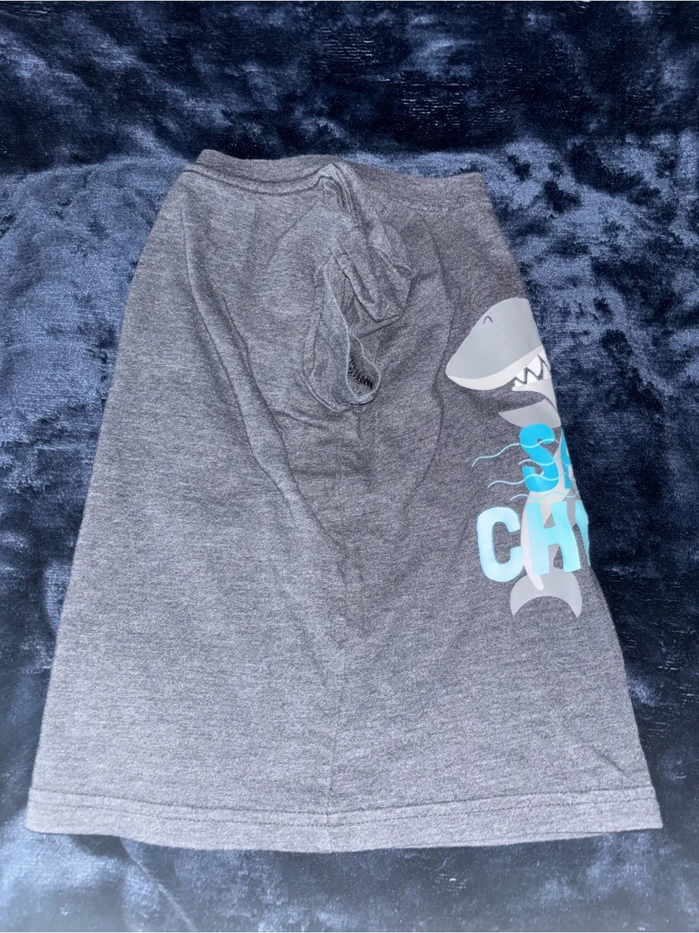 Carter's Teal Crocodile and Cat and Jack Say Cheese Shark Shirts 2T Boys TShirts
